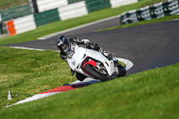 Advanced Group White Bikes